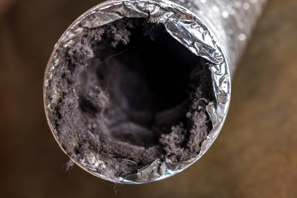 Best Air Duct Cleaning Near Me  in Pine Ridge, SC